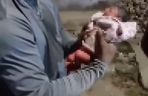 W worku ze śmieciami znalazł noworodka! Teraz chce go adoptować