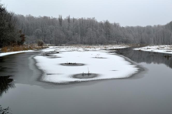 Kończą się mrozy, będą powodzie? IMGW wydaje ostrzeżenia hydrologiczne 