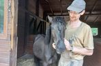 Mini ZOO w Lesznie ma nowych mieszkańców. To owce, konie i osioł