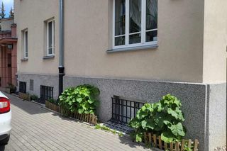 Mieszkanka Mokotowa musi zapłacić karę za posadzenie kwiatów. Kwota powala na kolana! Urząd mówi jasno