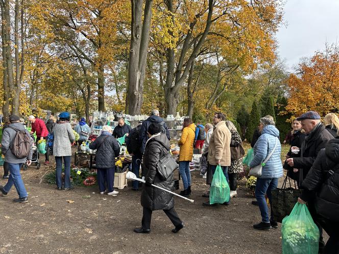 Wszystkich Świętych 2023 Cmentarz Centralny Szczecin 