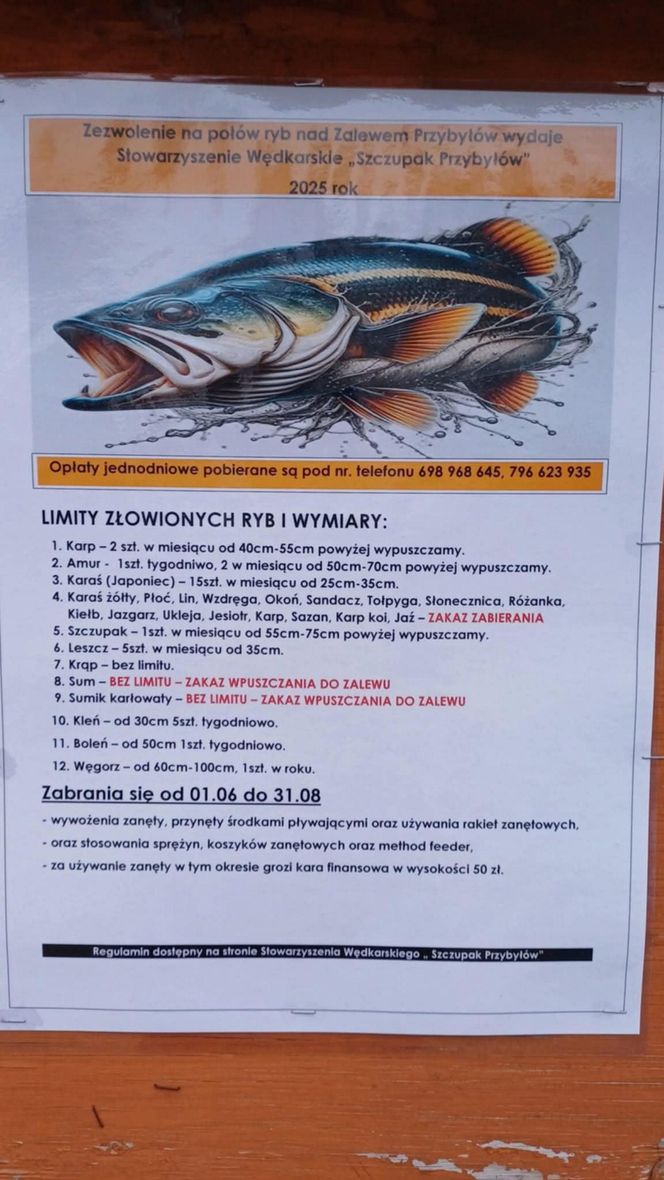 Sum gigant Rafała Kopra