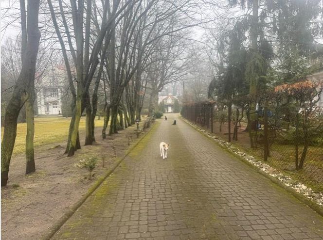 Dom Krystyny Jandy w Milanówku