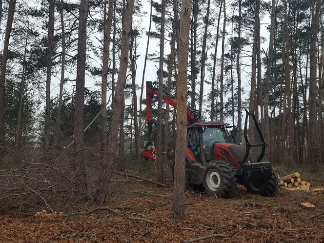 ​Wycinają sosny na ulicy Geodetów w Lesznie. Co tam powstanie? 