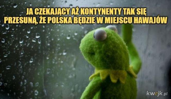 Tak się śmieją z Polski i Polaków! TOP 40 najśmieszniejszych memów
