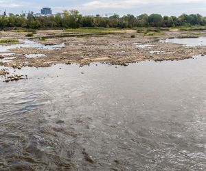 Wisła w Warszawie 27 sierpnia 2025 rano
