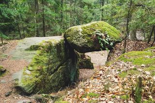 Rezerwat Dalejów w Świętokrzyskiem