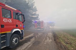 Pożar hali w Pełkiniach. W akcji udział bierze ponad 100 strażaków!