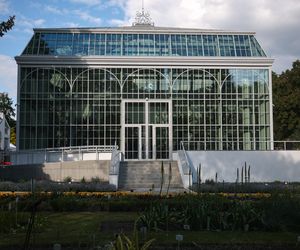Nowa oranżeria w Ogrodzie Botanicznym UJ. Zastąpiła poprzedniczkę z XIX wieku 