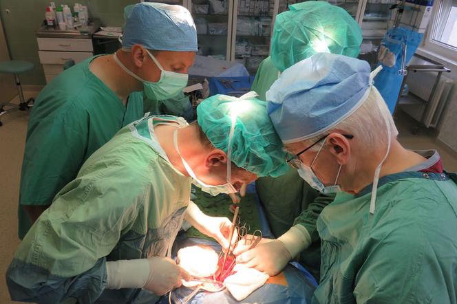 Obchodzimy Ogólnopolski Dzień Transplantacji. W tym lubelskim szpitalu nerkę przeszczepiono ponad 660 razy