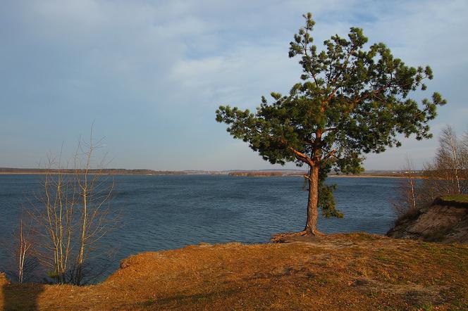 Tragedia na Pogorii IV