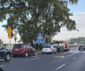 Potworny wypadek w Płocku. Wypadli z drogi, uderzyli w drzewo. Dwoje ludzi spłonęło w samochodzie	