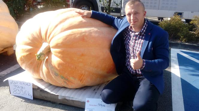 1 Dominik Kędziak spod Bełchatowa wyhodował największą dynię w Polsce