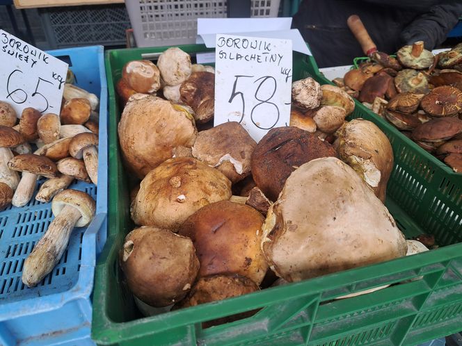 Ceny grzybów na Nowym i Starym Kleparzu w Krakowie