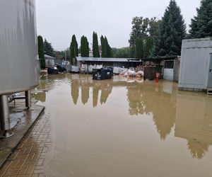 Zakład Cukry Nyskie został zalany w powodzi