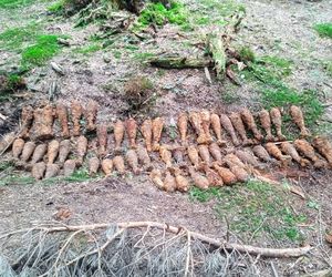 Wybuchowe odkrycia na S19 na Podkarpaciu