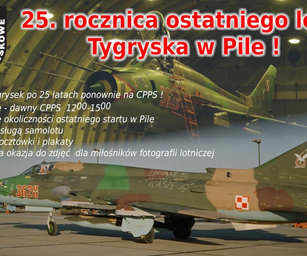 Tygrysek Piła