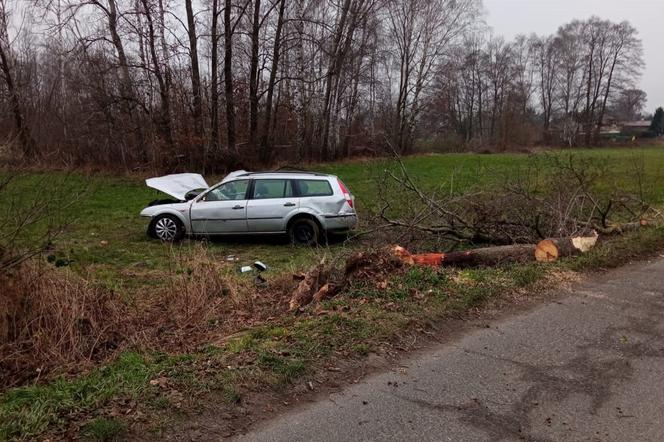 Tragiczny wypadek w Zgierzu. 40-letni kierowca zginął po uderzeniu w drzewo