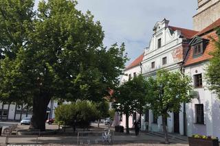 Rynek i mury miejskie w Byczynie w woj. opolskim