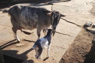 Malec przyszedł na świat 13 marca