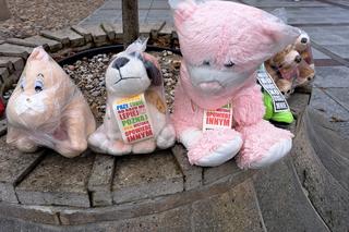 Akcja NIE BIJ mnie, KOCHAJ mnie