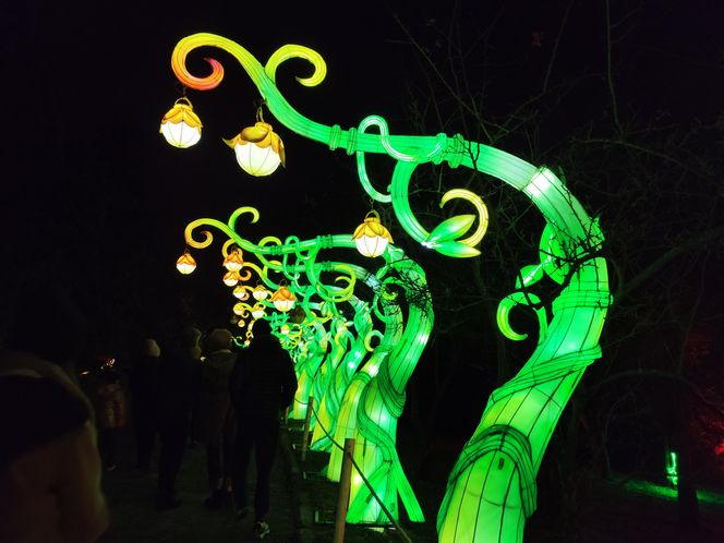 Park iluminacji w Lublinie