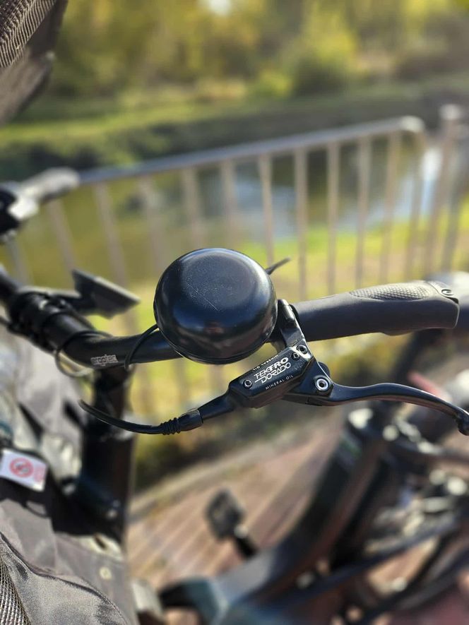 Nasz test rowerów cargo
