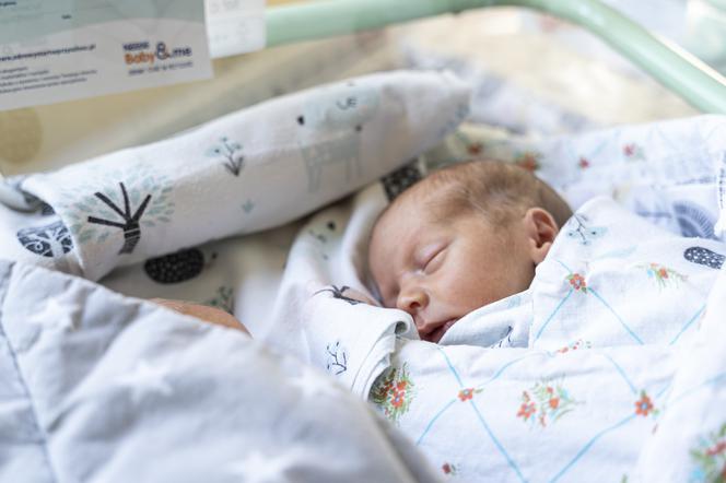 Trojaczki z Zabrza [ZDJĘCIA]