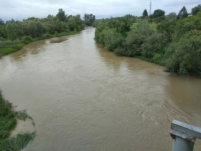 Wysoki Dunajec pod Tarnowem! Biała przy Azotach też przybiera