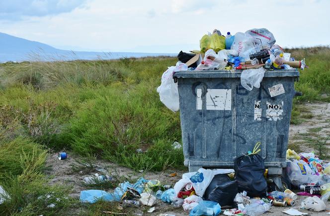 Podkarpackie: Śmieciarz wpadł dzięki fotopułapce! Urządzeń przybywa w lasach