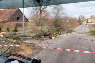 Szkody po Orkanie Eunice. Zrywało dachy, wyrywało grube drzewa, brakowało prądu