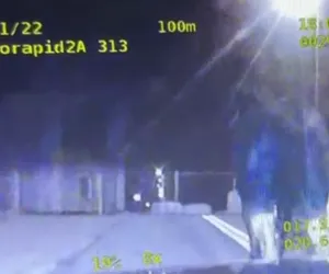 Policjanci zatrzymali... konia który uciekł z defilady
