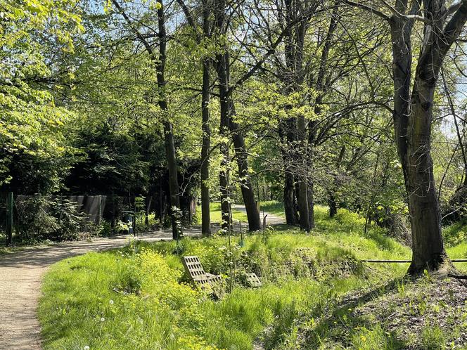 Najdłuższy park w Polsce jest w Krakowie. Ledwo widać go na mapach, a jest pełen atrakcji