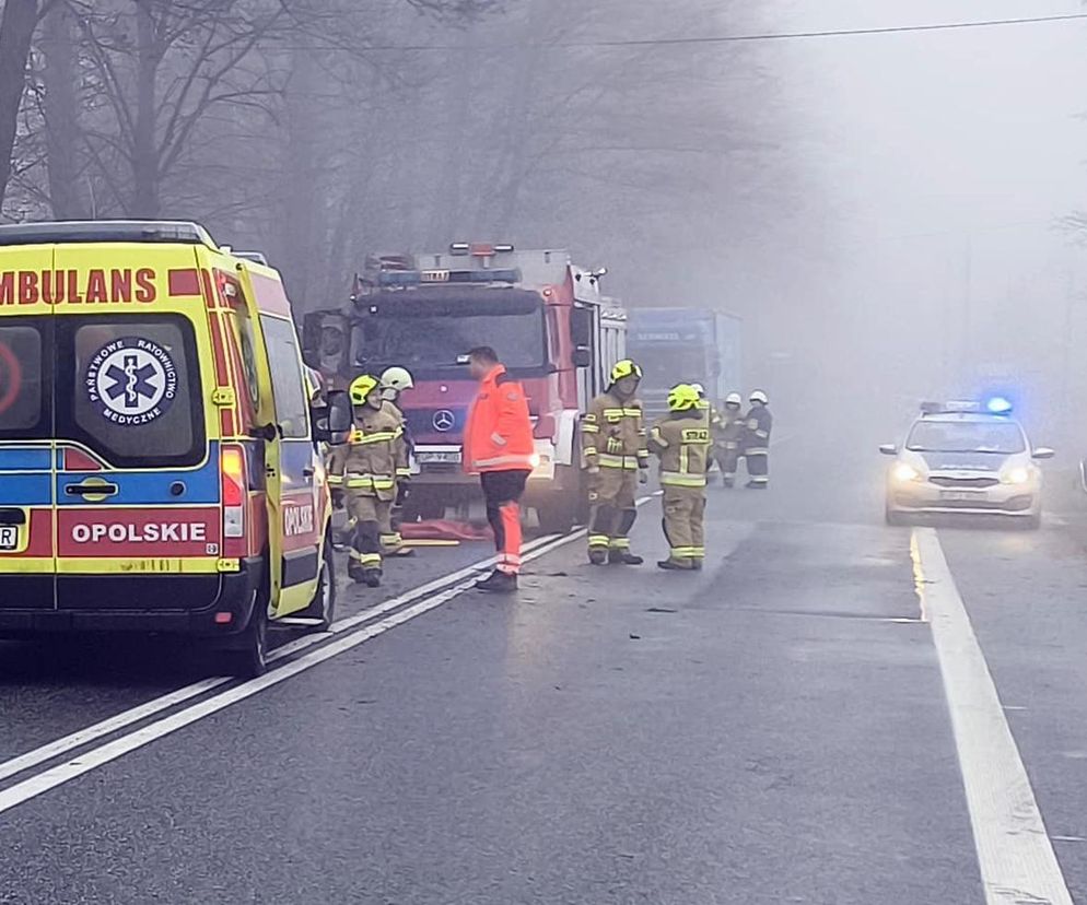 Tragiczny wypadek. W gęstej mgle samochód uderzył w drzewo