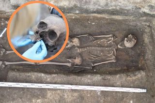 Sensacyjne odkrycie w Gdańsku. Archeolodzy znaleźli szczątki rycerza!