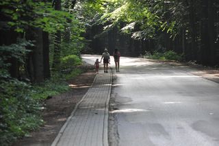 Świętokrzyski Park Narodowy