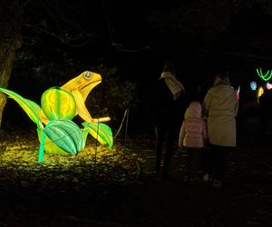 Garden of Lights we Wrocławiu