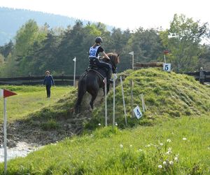 Największa taka stadnina na świecie leży w Małopolsce. Hodują tam wyjątkowe konie 