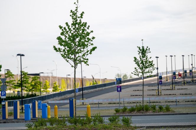 Tarczyński Arena