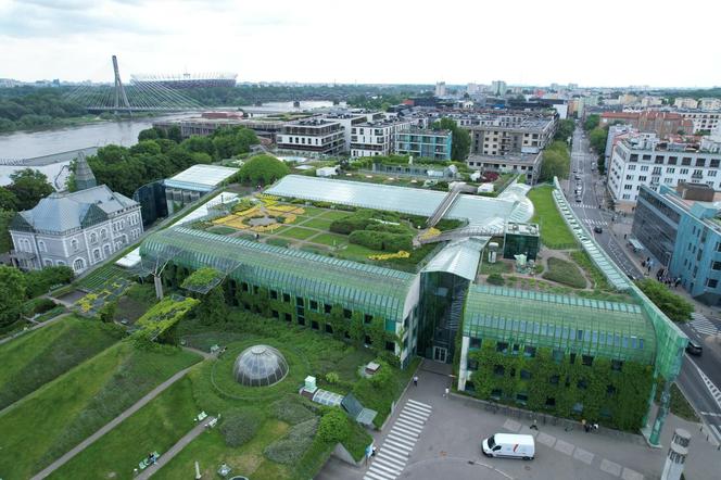 Ogród na dachu Biblioteki Uniwersyteckiej w Warszawie