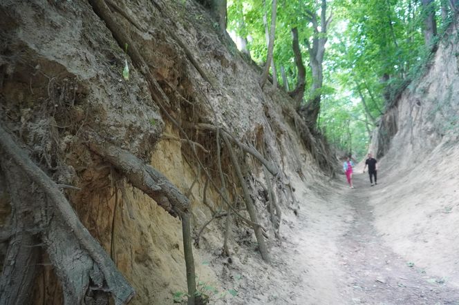 Sandomierz. Wąwóz Św. Królowej Jadwigi
