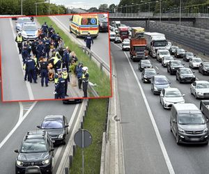 Warszawa: Ostatnie Pokolenie zablokowało trasę S8. Gigantyczny korek. Blokada potrwa wiele godzin