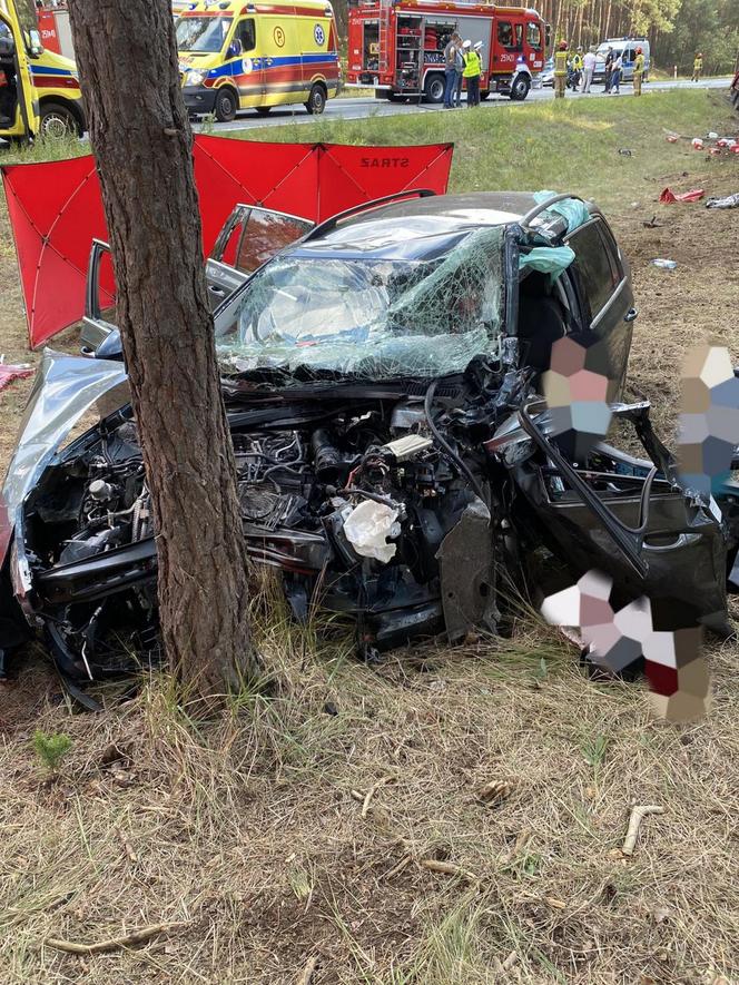 Tragiczny wypadek w Emilianowie. Zginęła czteroosobowa rodzina. Sprawcą był Tomasz L.  może być tak