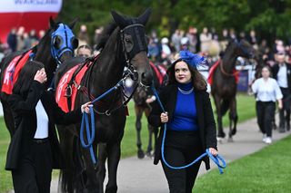 Prezentacja koni przed Wielką Warszawską