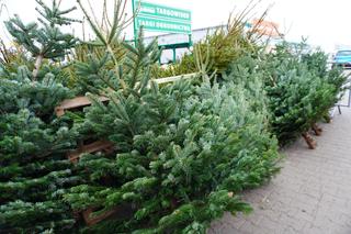 Ceny choinek w Białymstoku. Ile zapłacimy za drzewko w Podlaskiem?