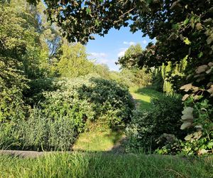 Park Centralny przed wielką zmianą! Zobacz, gdzie powstanie kąpielisko