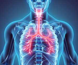 Oskrzela - budowa, funkcje i najczęstsze choroby