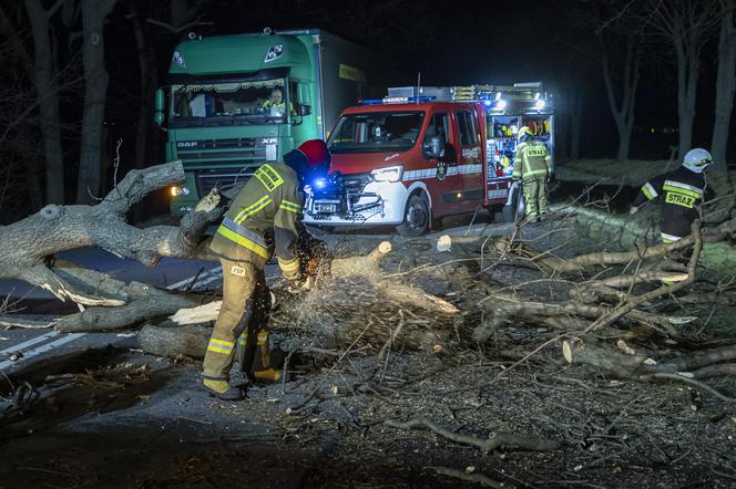 Orkan Eunice nadciąga! Burze i wichury do 160 km/h. Pogodowy koszmar powraca?  [Pogoda IMGW na 19.02.2022]