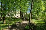 Wiosna w Ogrodzie Botanicznym UKW, czyli spacer wśród zieleni