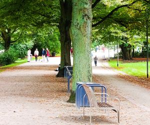 Usterki na Alei Fałata
